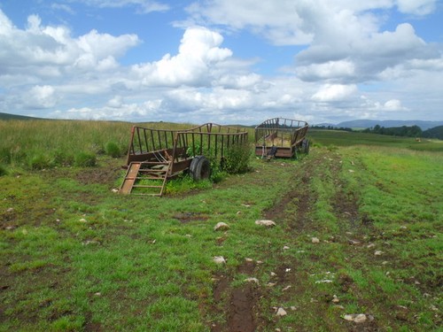Foto mobile silage - foto, a3