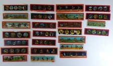 25 x antike Laterna Magica Glas Bildscheibe Kinematograph Galsbilder