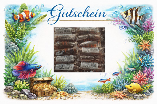 Gutschein rote mückenlarven - gutschein,
