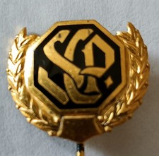 Ehren-Nadel SCP. UFO ? Segeln, Fußball,Rugkby, Turnsport,Boxen  Alt Selten 