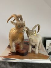 2 x STEIFF STEINBOCK ROCKY 1620/22, big and middle size, Vintage 60s, 60er