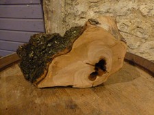 1 Holzscheibe hohl Baumscheibe  Holz 33 x10x22 cm unbehandelt geschliffen Deko