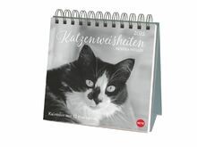 Monika wegler katzen - monika,