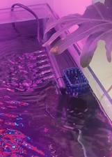 Oberflächenskimmer mit Filter Aquarium Skimmer 3W energiesparend