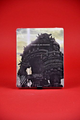 Shadow the colossus - shadow,
