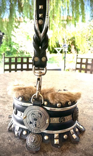 Hundehalsband leder - hundehalsband,