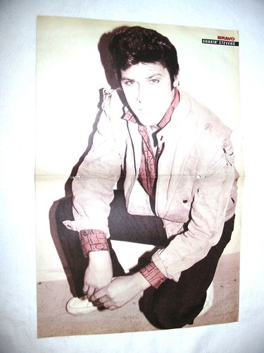 Shakin stevens die ärzte - stevens,
