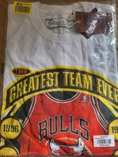 Mitchell & Ness NBA Shirt Gr. L Chicago Bulls 1996 Champions Jordan Best Team