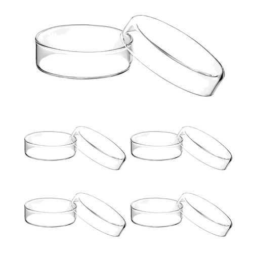 Glas petrischalen mit deckel - glas,