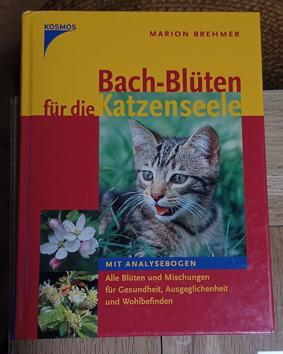 Katzenbücher kolloidales - katzenbücher,,