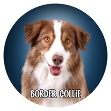 Hunde Aufkleber Sticker rund