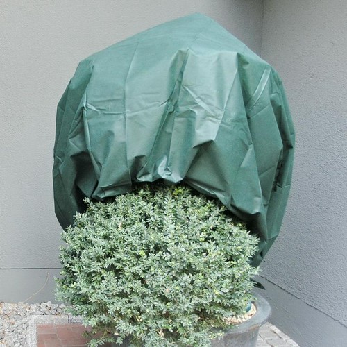 Noor wintervlies 5 m - wintervlies,