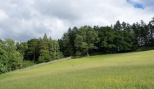 Foto 12x8 Heu oder Silagefeld