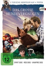 Hundevergnügen Box - Spirit