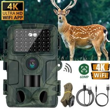Wildkamera 4K Video