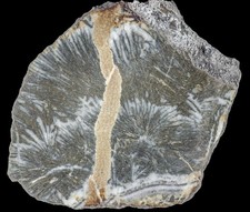 Fiederpyrit / Federpyrit -