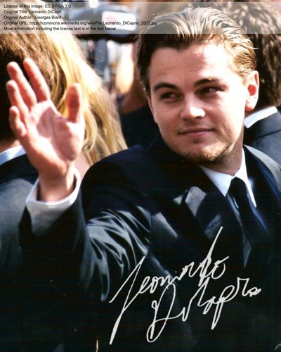 Repro autogramm leonardo - -,