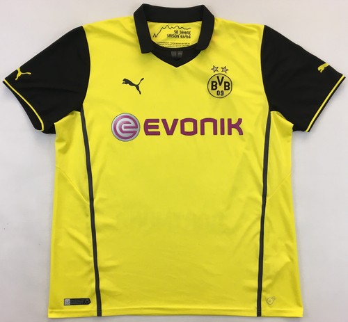 Borussia dortmund 2013 2014 - dortmund, 2013/14