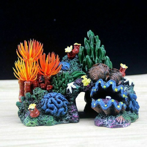 Diy aquarium deko korallenriff - aquarium,