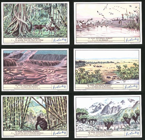 Sammelbilder liebig serie - 6,