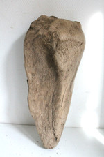 Schwemmholz Treibholz