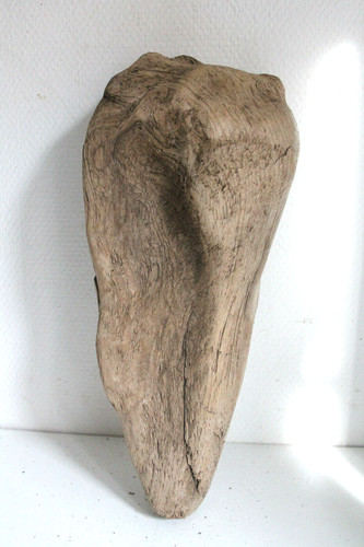Schwemmholz treibholz - schwemmholz,