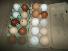 20 ausgeblasene Eier