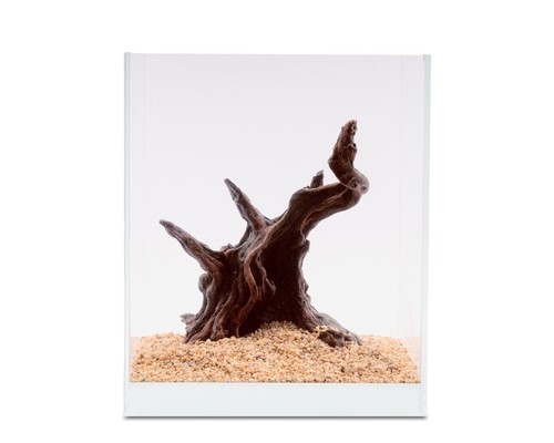 Natureholic ready scape - ready,