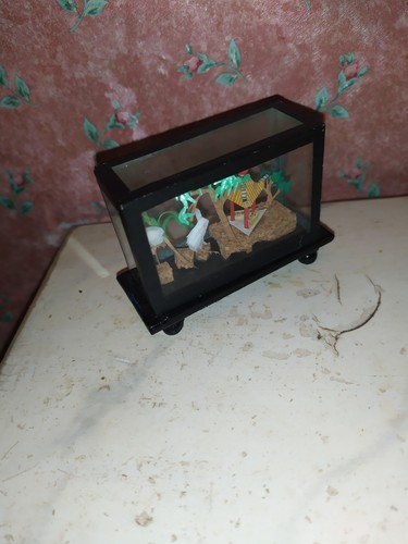 ältere asiat vitrine - Ältere, asiat.