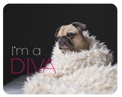 Mousepad mops diva - mops, 24x19