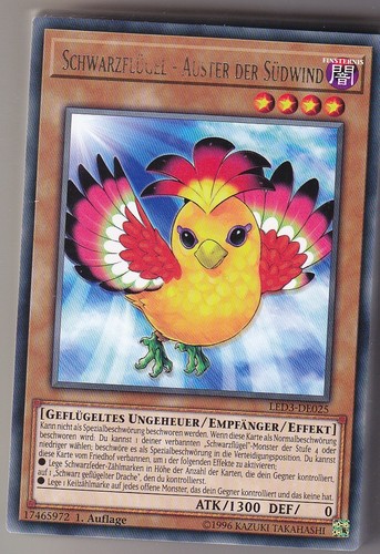Schwarzflügel auster - yu-gi-oh,