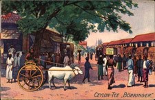 Künstler Ak Ceylon Tee Böhringer, Sri Lanka - 11326462