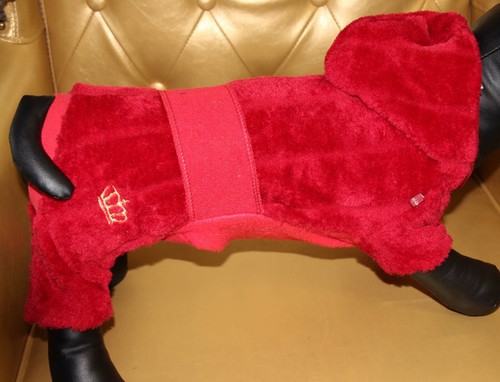 7797_Angeldog_Hundekleidung_Hu
