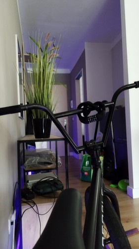 Wethepeople custom street bmx - wethepeople,