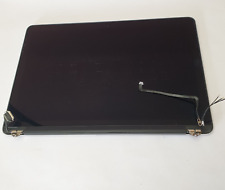 Apple MacBook Pro 13" Retina Early 2015 Display LCD Bildschirm