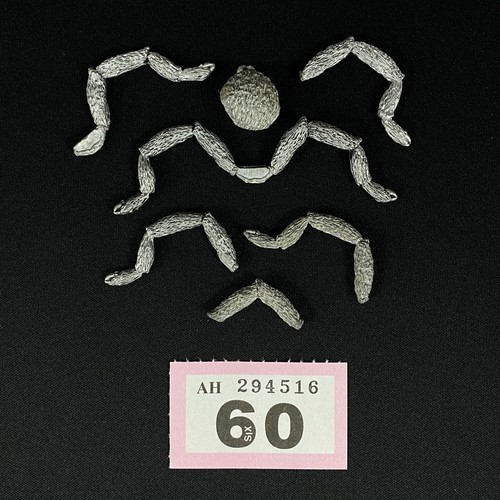Unvollständig c29 - unvollstÄndig,