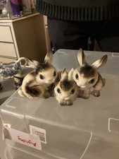 Goebels Trio Kaninchen