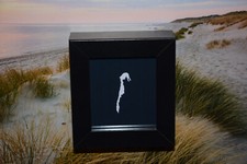 Insel Hiddensee Umriss Bild