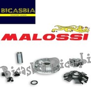 19660 - Variator malossi