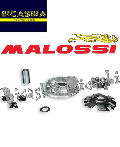 19660 variator malossi - 19660,