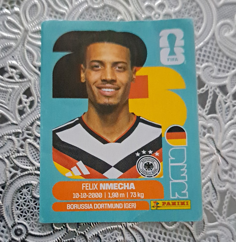 Panini fifa world - fifa,