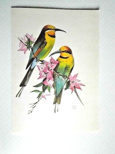 Faltblatt seiten - faltblatt,