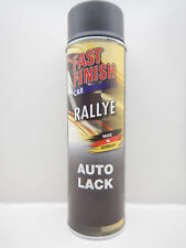 FAST FINISH CAR RALLYE SCHWARZ