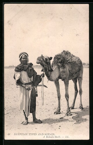 ägypten beduinenscheich mit - Ägypten,,