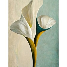 Cala Lily Lilien Blumen