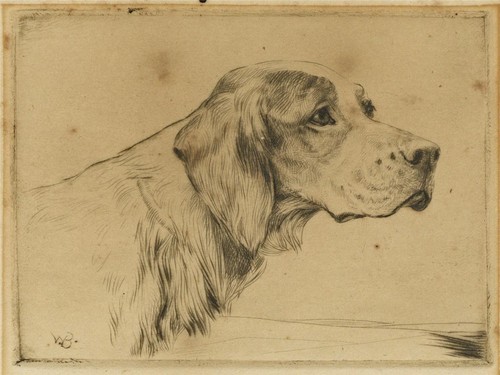 Ruben ward binks kleiner - ruben,