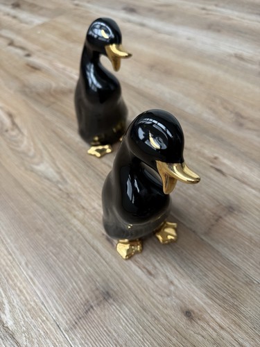 Zwei stück ente schwarz - stück,
