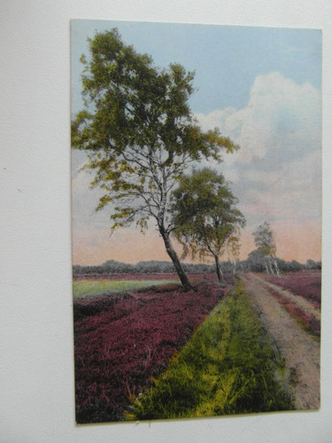Künstler - , ak