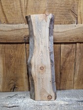Kieferplatte Live Edge (006)