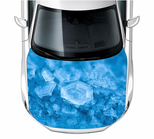 Motorhaube auto aufkleber - motorhaube, auto-aufkleber